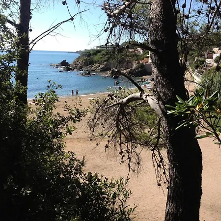 Joli A 50m De La Plage A 88281 Apartment Saint Aygulf